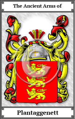 Plantaggenett Family Crest Download (JPG)  Book Plated - 150 DPI