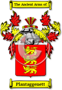 Plantaggenett Family Crest Download (jpg) Legacy Series - 150 DPI