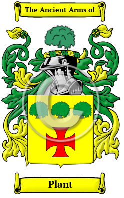 Plant Family Crest Download (JPG) Heritage Series - 600 DPI