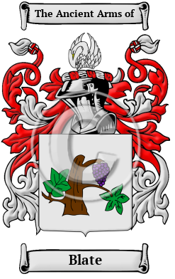 Blate Family Crest Download (JPG) Heritage Series - 600 DPI