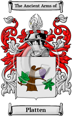Platten Name Meaning, Family History, Family Crest & Coats of Arms