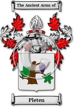 Pleten Family Crest Download (jpg) Legacy Series - 150 DPI