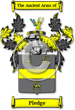 Pledge Family Crest Download (jpg) Legacy Series - 150 DPI