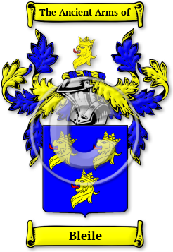 Bleile Family Crest Download (jpg) Legacy Series - 150 DPI