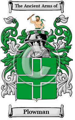 Plowman Family Crest Download (jpg) Heritage Series - 150 DPI