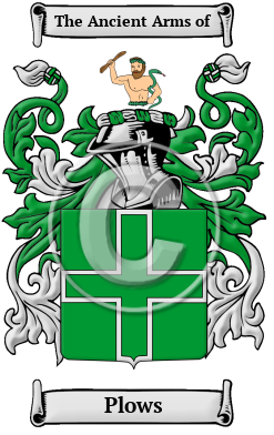 Plows Family Crest Download (JPG) Heritage Series - 600 DPI