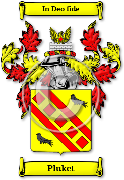 Pluket Family Crest Download (jpg) Legacy Series - 150 DPI
