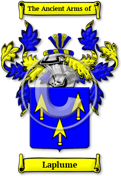 Laplume Family Crest Download (jpg) Legacy Series - 150 DPI