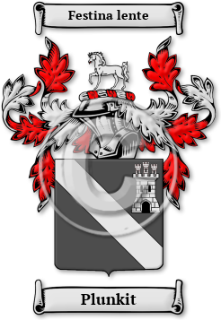 Plunkit Family Crest Download (jpg) Legacy Series - 150 DPI