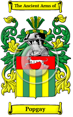 Popgay Family Crest/Coat of Arms
