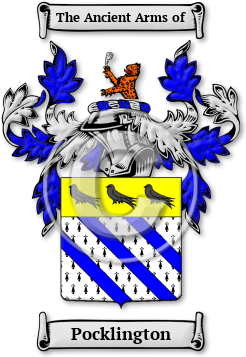 Pocklington Family Crest Download (jpg) Legacy Series - 150 DPI