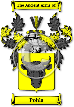 Pohls Family Crest Download (JPG) Legacy Series - 600 DPI