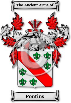 Pontins Family Crest Download (jpg) Legacy Series - 150 DPI