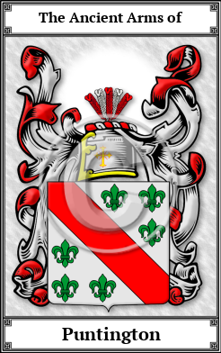 Puntington Family Crest Download (JPG)  Book Plated - 150 DPI