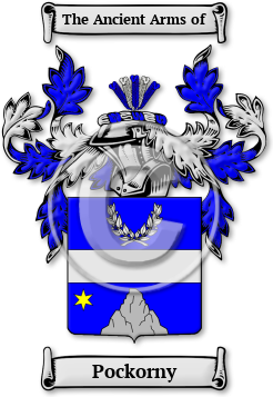 Pockorny Family Crest Download (jpg) Legacy Series - 150 DPI