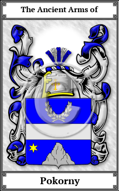 Pokorny Family Crest Download (JPG)  Book Plated - 150 DPI