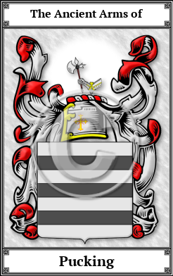 Pucking Family Crest Download (JPG)  Book Plated - 150 DPI