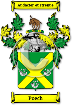 Poech Family Crest Download (jpg) Legacy Series - 150 DPI