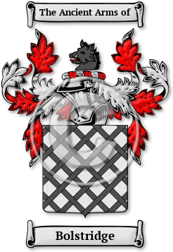 Bolstridge Family Crest Download (jpg) Legacy Series - 150 DPI