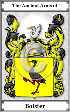 Bolster Family Crest Download (JPG) Book Plated - 600 DPI