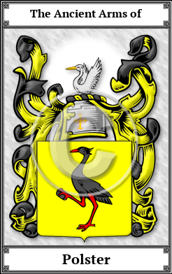 Polster Family Crest Download (JPG) Book Plated - 600 DPI