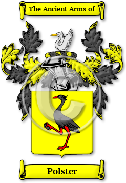 Polster Family Crest Download (JPG) Legacy Series - 600 DPI