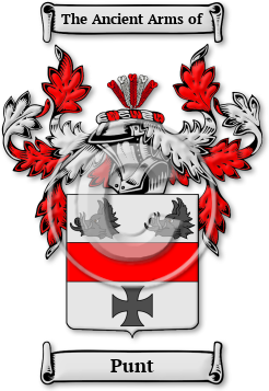 Punt Family Crest Download (JPG) Legacy Series - 600 DPI