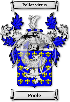 Poole Family Crest Download (JPG) Legacy Series - 300 DPI