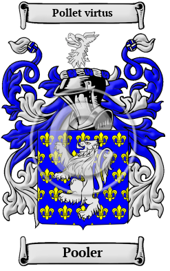 Pooler Family Crest/Coat of Arms