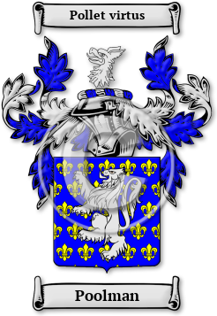 Poolman Family Crest Download (jpg) Legacy Series - 150 DPI