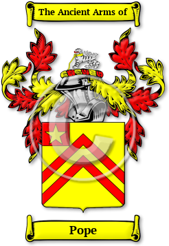 Pope Family Crest Download (jpg) Legacy Series - 150 DPI