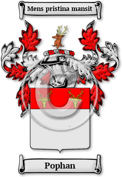 Pophan Family Crest Download (JPG) Legacy Series - 600 DPI