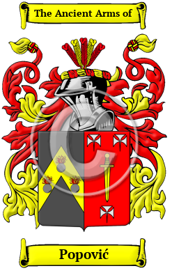 Popović Family Crest Download (JPG) Heritage Series - 600 DPI