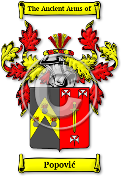 Popović Family Crest Download (JPG) Legacy Series - 600 DPI