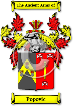 Popovic Family Crest Download (jpg) Legacy Series - 150 DPI