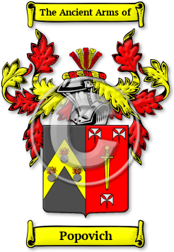 Popovich Family Crest Download (jpg) Legacy Series - 150 DPI