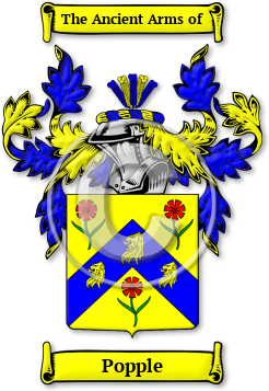 Popple Family Crest Download (jpg) Legacy Series - 150 DPI
