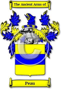 Peau Family Crest Download (jpg) Legacy Series - 150 DPI