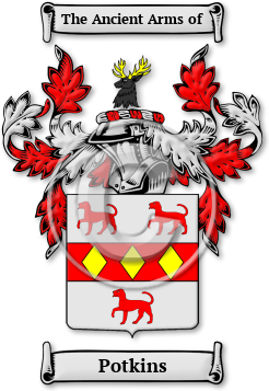 Potkins Family Crest Download (jpg) Legacy Series - 150 DPI