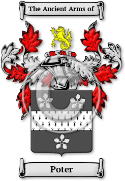 Poter Family Crest Download (jpg) Legacy Series - 150 DPI
