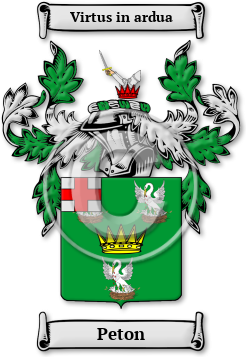 Peton Family Crest Download (jpg) Legacy Series - 150 DPI