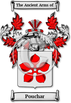 Pouchar Family Crest Download (jpg) Legacy Series - 150 DPI