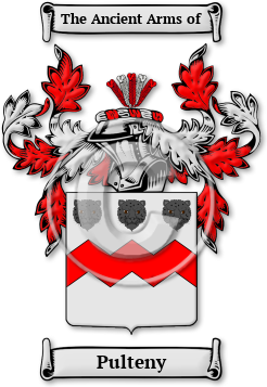 Pulteny Family Crest Download (jpg) Legacy Series - 150 DPI