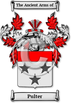 Pulter Family Crest Download (jpg) Legacy Series - 150 DPI