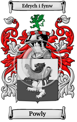 Powly Family Crest/Coat of Arms