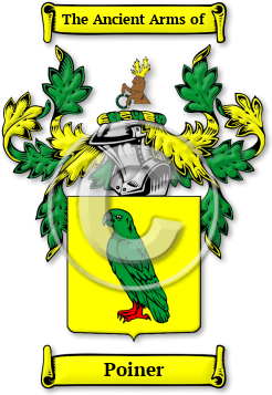 Poiner Family Crest Download (JPG) Legacy Series - 600 DPI