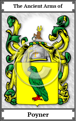 Poyner Family Crest Download (JPG)  Book Plated - 150 DPI