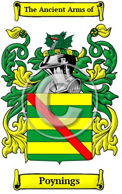 Poynings Family Crest/Coat of Arms