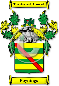Poynings Family Crest Download (JPG) Legacy Series - 300 DPI