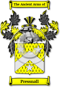 Pressnall Family Crest Download (jpg) Legacy Series - 150 DPI